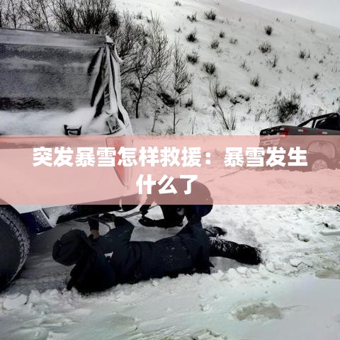 富贵有余 第2页