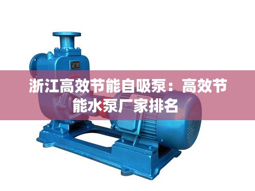浙江高效节能自吸泵：高效节能水泵厂家排名 