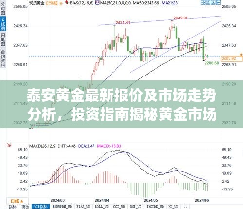 泰安黄金最新报价及市场走势分析，投资指南揭秘黄金市场机遇