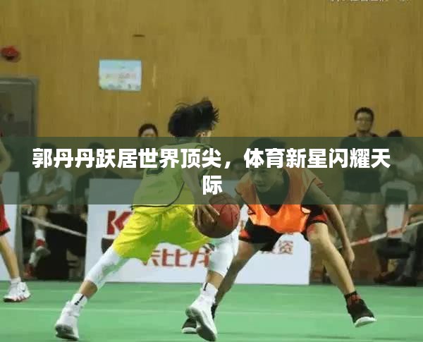郭丹丹跃居世界顶尖，体育新星闪耀天际