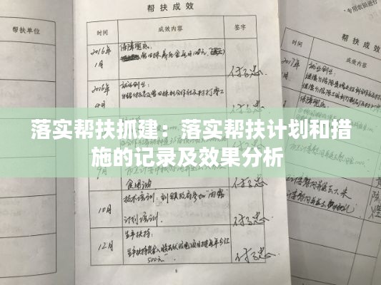 落实帮扶抓建：落实帮扶计划和措施的记录及效果分析 