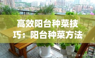 高效阳台种菜技巧：阳台种菜方法视频大全集 