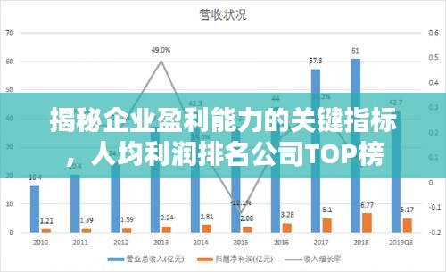 揭秘企业盈利能力的关键指标，人均利润排名公司TOP榜