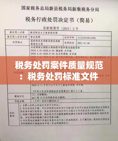 税务处罚案件质量规范：税务处罚标准文件 