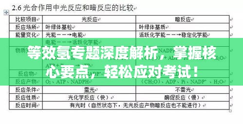 等效氢专题深度解析，掌握核心要点，轻松应对考试！