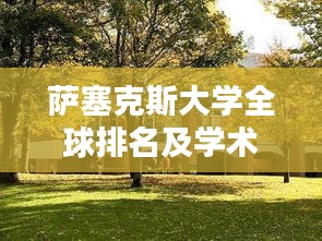 萨塞克斯大学全球排名及学术影响力解析