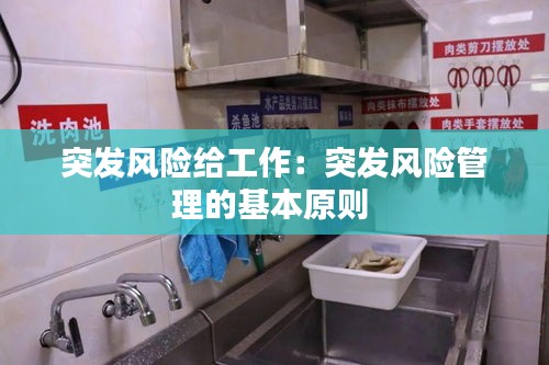 突发风险给工作：突发风险管理的基本原则 