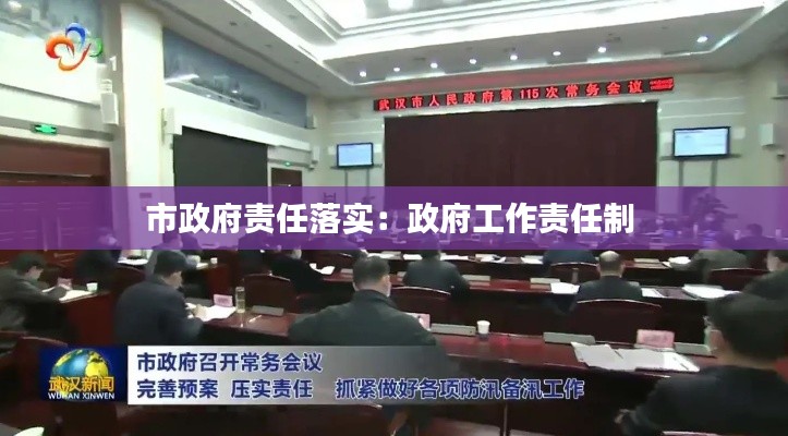 市政府责任落实：政府工作责任制 