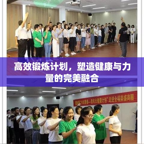 高效锻炼计划，塑造健康与力量的完美融合