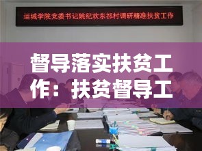督导落实扶贫工作：扶贫督导工作述职 