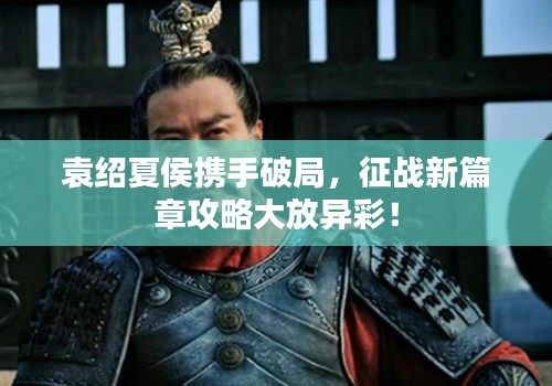 袁绍夏侯携手破局，征战新篇章攻略大放异彩！