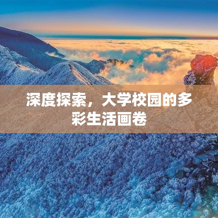 深度探索，大学校园的多彩生活画卷