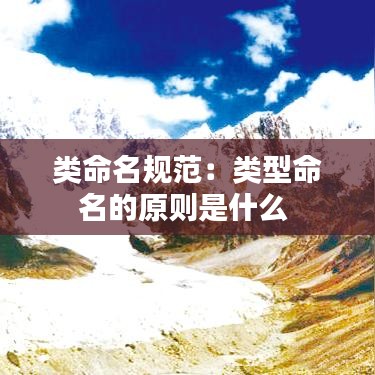 类命名规范：类型命名的原则是什么 