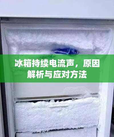 冰箱持续电流声，原因解析与应对方法