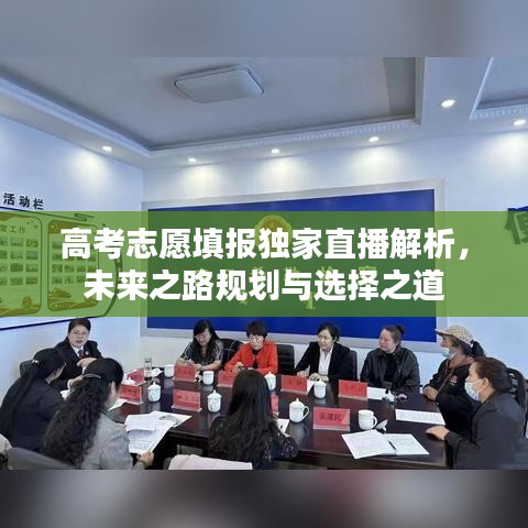 高考志愿填报独家直播解析，未来之路规划与选择之道