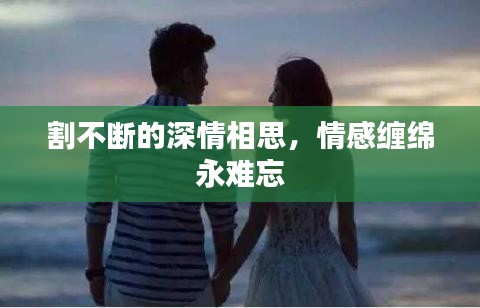 割不断的深情相思，情感缠绵永难忘