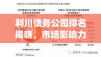利川债务公司排名揭晓，市场影响力大揭秘