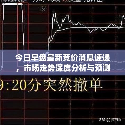 今日早盘最新竞价消息速递，市场走势深度分析与预测