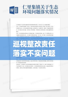 巡视整改责任落实不实问题的深度剖析