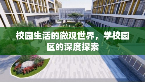 校园生活的微观世界，学校园区的深度探索