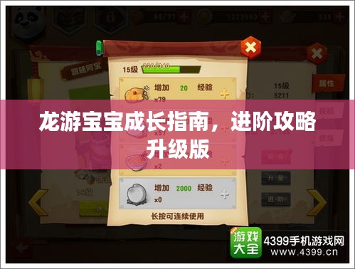 龙游宝宝成长指南，进阶攻略升级版
