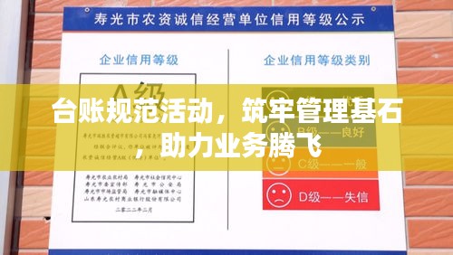 台账规范活动，筑牢管理基石，助力业务腾飞