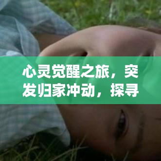 心灵觉醒之旅，突发归家冲动，探寻内心真实自我