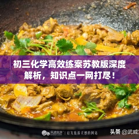 初三化学高效练案苏教版深度解析，知识点一网打尽！