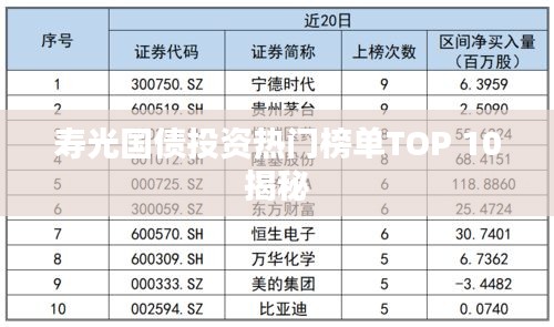 寿光国债投资热门榜单TOP 10揭秘
