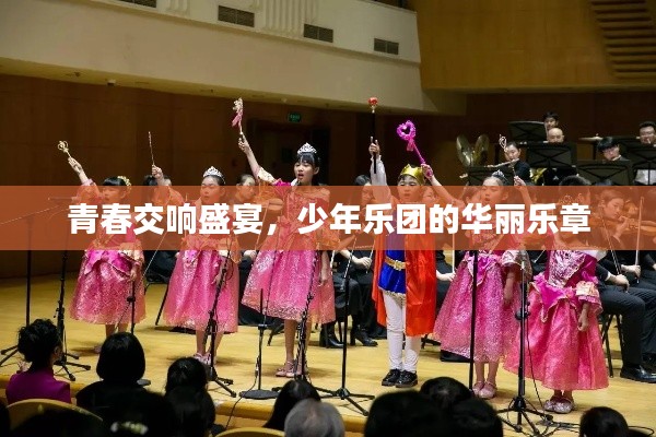 青春交响盛宴，少年乐团的华丽乐章