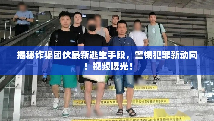 揭秘诈骗团伙最新逃生手段，警惕犯罪新动向！视频曝光！
