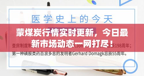 蒙煤炭行情实时更新，今日最新市场动态一网打尽！