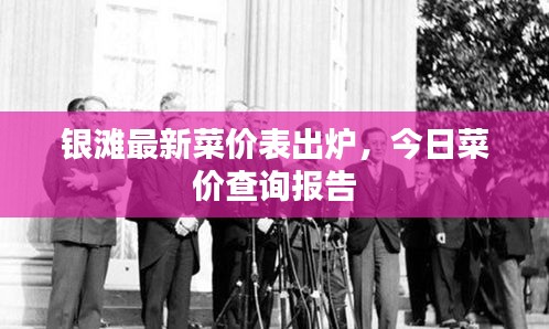 银滩最新菜价表出炉，今日菜价查询报告