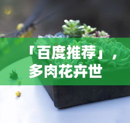「百度推荐」，多肉花卉世界探秘，绚烂花景令人陶醉