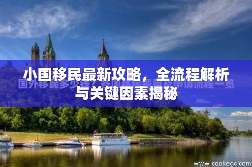小国移民最新攻略，全流程解析与关键因素揭秘