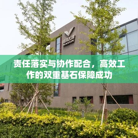 责任落实与协作配合，高效工作的双重基石保障成功