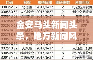 金安马头新闻头条，地方新闻风向标，掌握最新资讯动态
