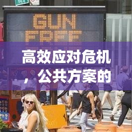 高效应对危机，公共方案的构建与实践策略