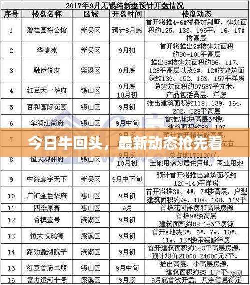 今日牛回头，最新动态抢先看