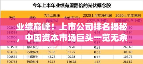 业绩巅峰！上市公司排名揭秘，中国资本市场巨头一览无余