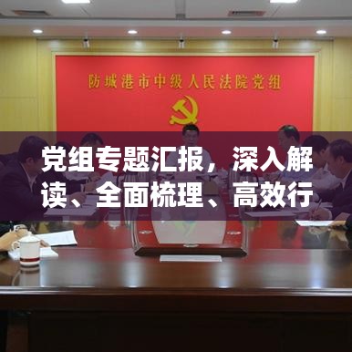 党组专题汇报，深入解读、全面梳理、高效行动！