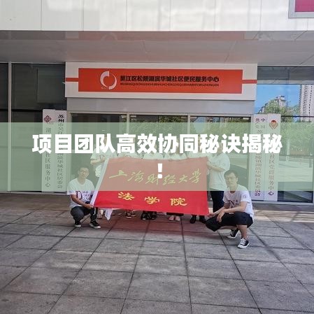 项目团队高效协同秘诀揭秘！