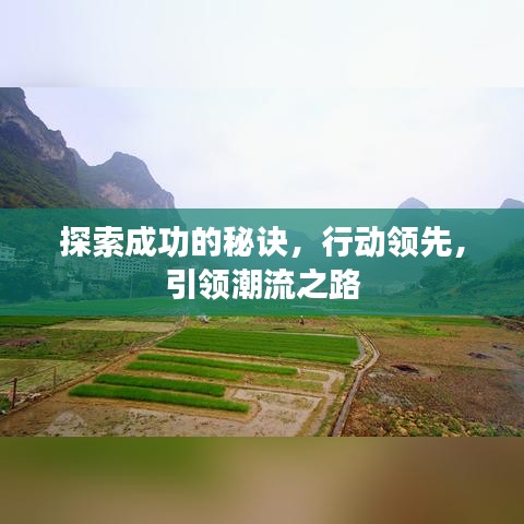 探索成功的秘诀，行动领先，引领潮流之路