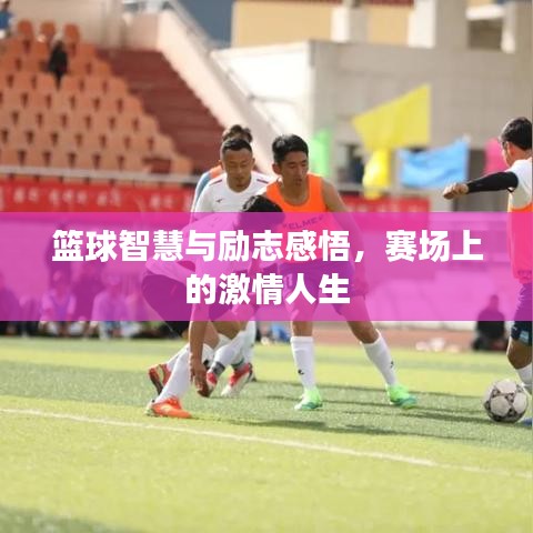 篮球智慧与励志感悟，赛场上的激情人生