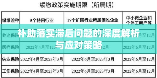 补助落实滞后问题的深度解析与应对策略