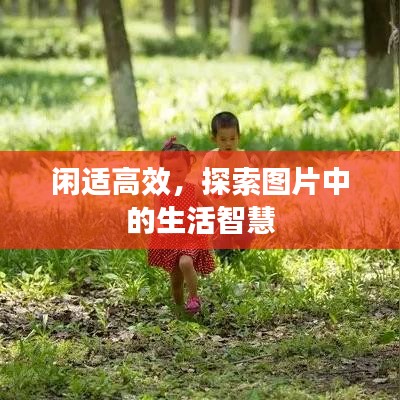 闲适高效，探索图片中的生活智慧
