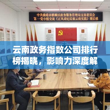 云南政务指数公司排行榜揭晓，影响力深度解析