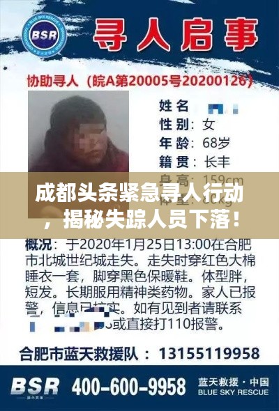 成都头条紧急寻人行动，揭秘失踪人员下落！