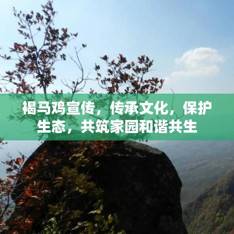 褐马鸡宣传，传承文化，保护生态，共筑家园和谐共生