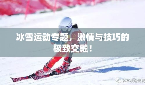 冰雪运动专题，激情与技巧的极致交融！